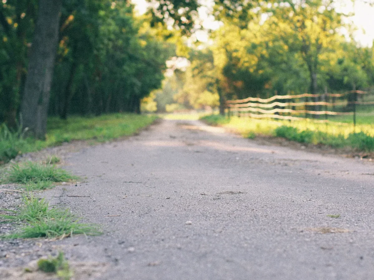 Tree-lined country road in Cedar Park, Texas