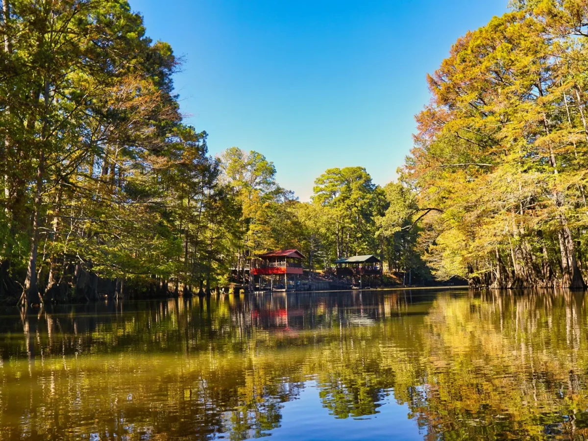 Tree-lined lake with fall colors in the Texas countryside
