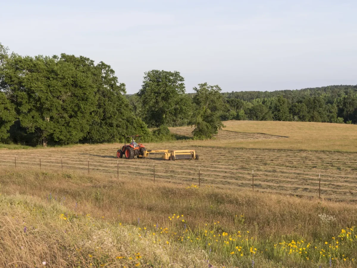 Farmer at work in a field in Rusk County, east of Henderson, Texas