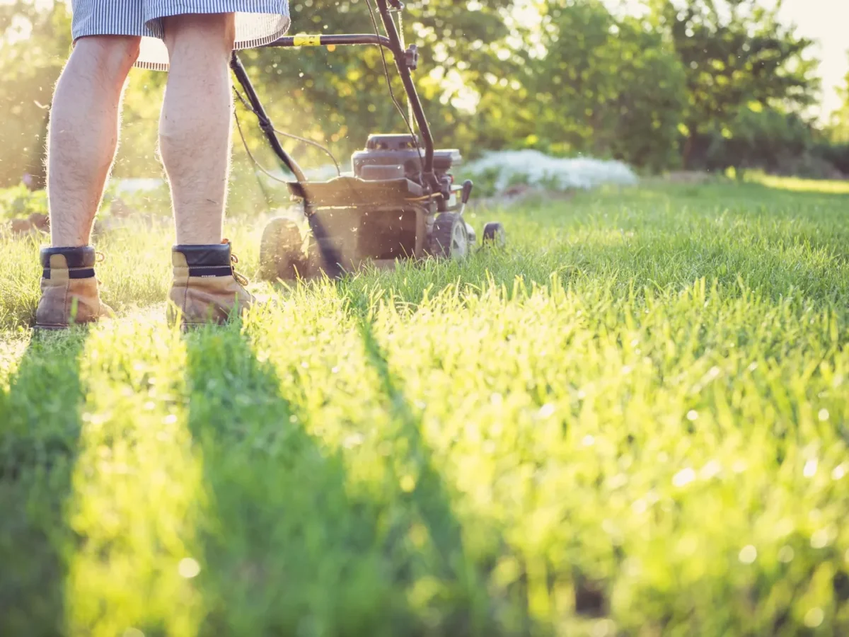 Push mower cutting a sunlit lawn