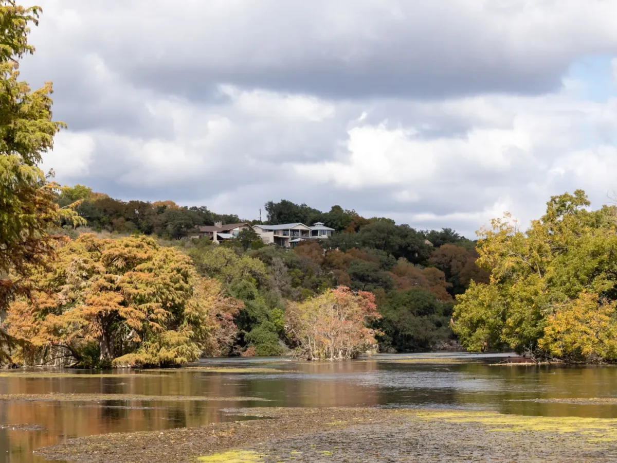 Lakeside trees in autumn in New Braunfels, Texas