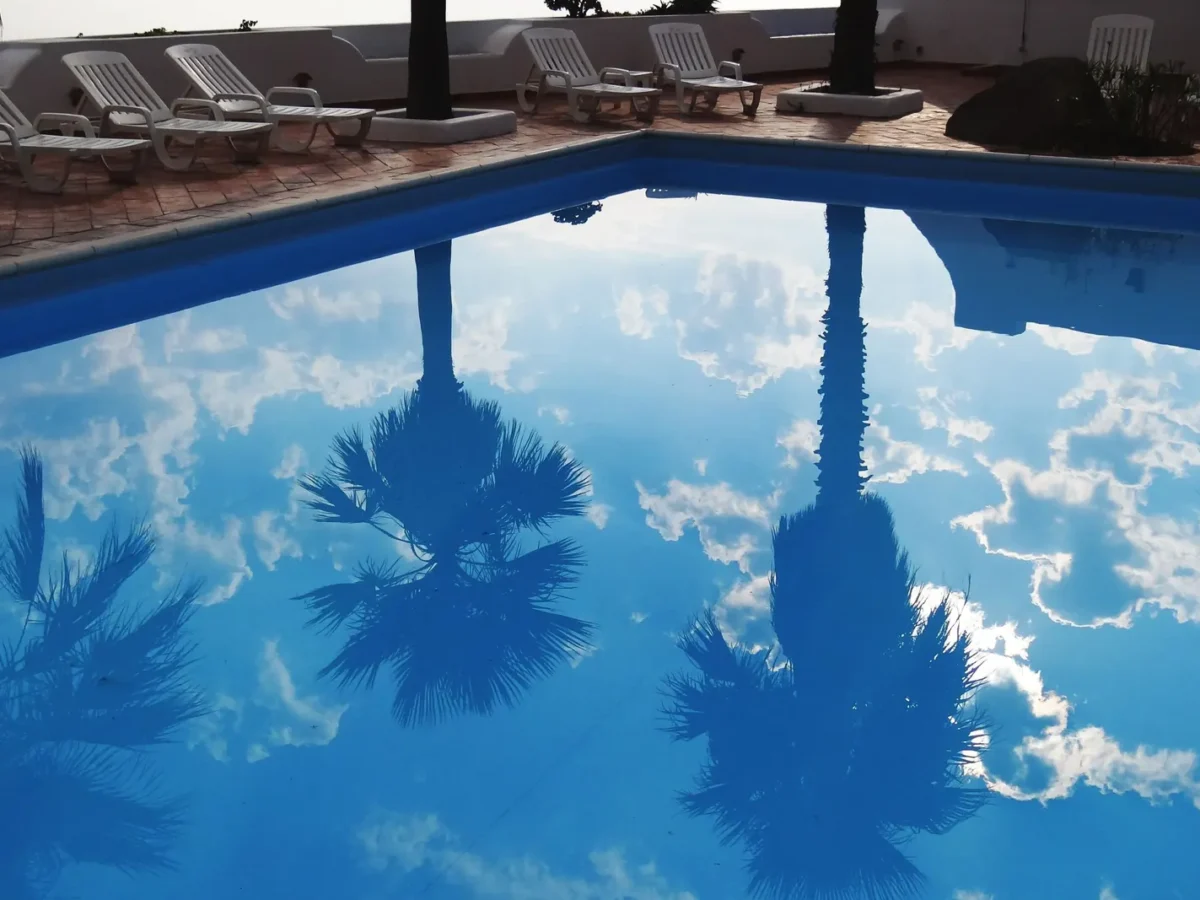 Clear backyard pool with palm trees reflected in the water