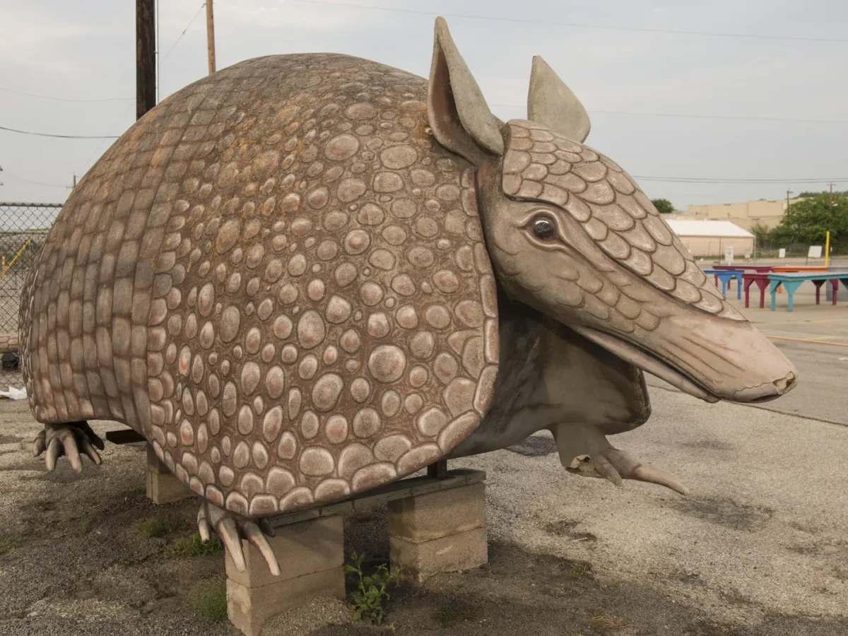 Giant armadillo statue at Bussey's Flea Market in Schertz, Texas